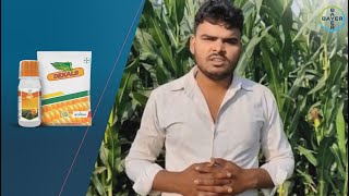 Herbicide For Maize - चंद्रकांत डिकाल्ब और लॉडिस दोनों चुनकर हो गए खुशहाल | Bayer Crop Science India