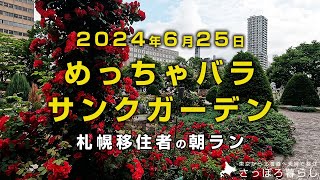 大阪に行くと絶対食べるものがあります｜札幌移住者の日常