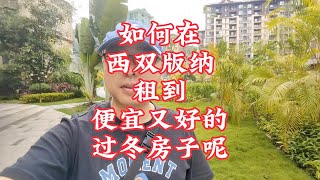 【小龙在版纳】如何在西双版纳，租到便宜有好玩的过冬房子呢。2024-5-23