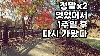 🍂﻿같은 길 일주일 후 풍경 : 시간이 덧칠한 가을 | 공릉천 자전거 라이딩, 남경수목원 옆길