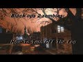 Black ops 2: How To Turn OFF The Fog (Tips And Tricks For Greenrun)