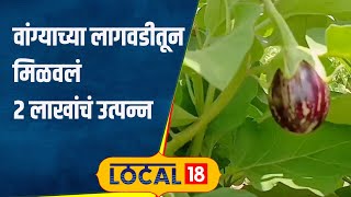 success story शेतकरी महिलांना कमी लेखायचं नाही,सोलापूरची माऊली वांगी उत्पादनातून झाली लखपती#local18