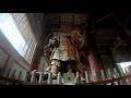 enjoyable sightseeing in nara♪ the great buddha and cute deer at todaiji temple are a must see