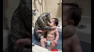 Cat bathing baby 54 ❤️ #agt #relax #funnyshorts #animals