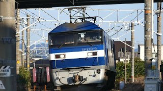 JR貨物 2020/10/21 朝の貨物列車3本 1055レに白桃 1060レに白桃 1071レに押し桃