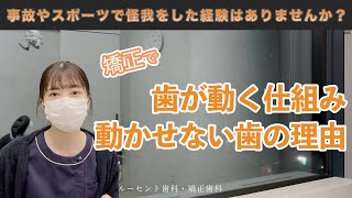 【悲報】矯正で動かせない歯があります【歯列矯正】