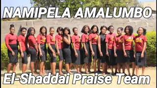 EL-SHADDAI PRAISE TEAM - NAMIPELA AMALUMBO (Official Audio 2020) ZAMBIAN LATEST TRENDING VIDEO 2020