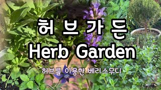 레몬밤, 민트,바질,고수,보리지,딜,카모마일,오레가노,타임,라벤다/Lemonbalm,Mint,Basil,Rosemary,Dill,Oregano,sage,Thyme…