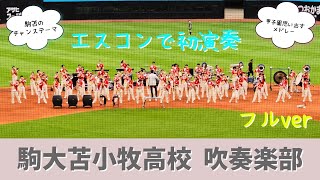 【駒大苫小牧高校 吹奏楽部】懐かしの高校野球チャンステーマなど特別メドレーをエスコン初披露!!感動します【フルver】