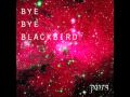 Bye Bye Blackbird - Pure