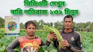 #বারি লতিরাজ কচু এক ও দুই চাষ,#কিভাবে বারি লতিরাজ এক ও দুই চিনবেন?,#বারি লতিরাজ  এক ও দুই চেনার উপায়