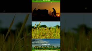 vivasayam natural whatsapp status video Tamil