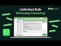 How to Send Bulk WhatsApp Messages with WASender