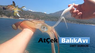 Atçek Balık Avı. Fethiye Darboğaz. Kalamar Avım.