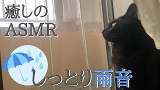 【癒しのASMR】黒猫と聞く優しい雨の音で寝落ちしたい【HealingASMR】The sound of rain heard with a black cat