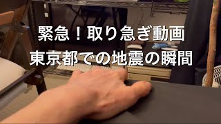 2022.3.16 緊急!取り急ぎ東京都での地震の瞬間としんちゃんの様子　【セキセイインコしんちゃんときょきょの暮らし】