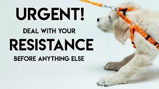Urgent! Deal With Your Resistance Before You Do Anything Else - Teal Swan