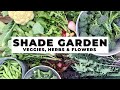 SHADE GARDENING TIPS: plus which VEGETABLES, HERBS & FLOWERS grow in the SHADE