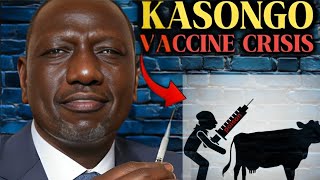 the controversial livestock vaccine by Kenya goverment