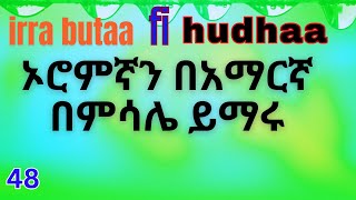 Irra butaa fi hudhaa/Learn Afan Oromo in Amharic/ኦሮምኛን በአማርኛ ይማሩ#barnoota #afanoromo #fikremartube