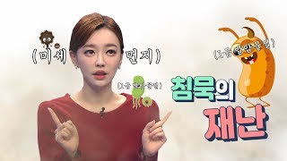 (강아랑의 안전이 먼저다)침묵의 살인자!! 미.세.먼.지. 주의보!!!!