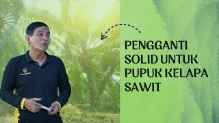 PENGGANTI SOLID UNTUK PUPUK KELAPA SAWIT