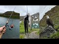 Eagle Goes for My Fish!!! Mountain Lake Trout Catch and Cook