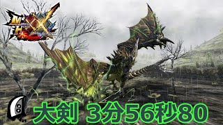 電竜流 狩人道場 ライゼクス ブレイヴ大剣 オトモ付き 3分56秒80