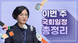 [이번 주 국회일정 총정리] 이번주 8월 임시회 시작! 상임위 활동 내용은?