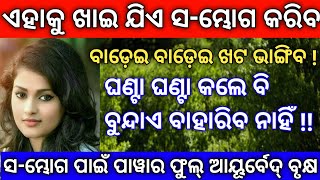 ଏଭର୍ ପାୱାର ଫୁଲ୍ ଆୟୂର୍ବେଦ୍ | Benefits of Homemade Bee Honey | Ayurvedic Remedy Odia | health tips