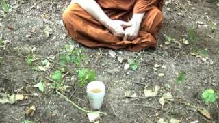 Ajahn Brahm - Simile Of The Cup