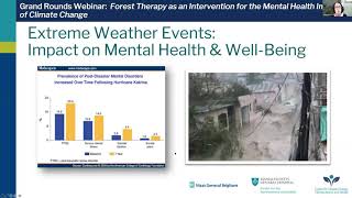 Forest Therapy as an Intervention for the Mental Health Impacts of Climate Change