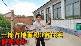 天津农村一栋占地面积3亩地1998平米的宅院，能卖多少钱？不敢想