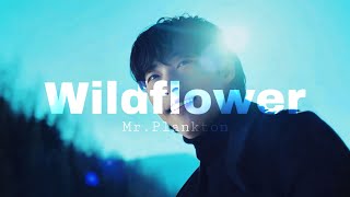 Wildflower - [ Mr.Plankton ] fmv