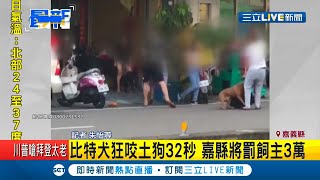 嘉義比特犬抓狂當街狂咬小黑犬32秒 飼主6人也拉不開嘉義縣政府將罰3萬｜記者 朱怡蓉｜【萌寵54來當家】20200710｜三立新聞台