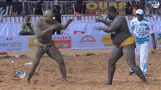 Grand combat Zarko vs Gris Bordeaux au arène national journée Albourakh evéns » combat bou nekh