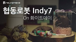 협동로봇 Indy on 화이트데이