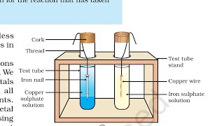 what happen when iron nail dipped in copper sulphate solution|Class10 Science|Chapter3 Activity 3.12