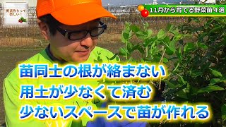 【087】11月から育てる野菜苗４選　ハタムスビ野菜作りムービー２