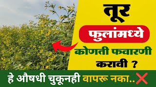 तूर फुलांमध्ये असताना कोणती फवारणी करावी ? | tur fulkali konti favarni karavi | तूर फवारणी नियोजन