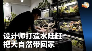 晨光第一线 | 设计师打造水陆缸 把大自然带回家