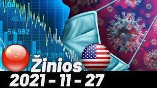 Zinios, JAV akciju rinka, investavimas