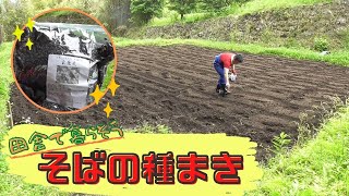 【田舎暮らし】自家製のソバを育てたい!!