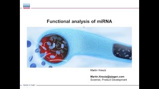 Functional Analysis of miRNA: miRNA and its Role in Human Disease Webinar Series Part 4