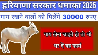 गाय पालने वाले को सरकार देगी 30000 सालाना, हरियाणा सरकार गाय पालने पर स्कीम, Online Cafe