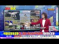 【 頭條開講】中美互毆進入石器時代 中國軟件硬殺美國硬件 他跨過道德界線 機器人戰爭真的來了 是兵還是賊 某大國軍心潰散 20250103 完整版 @頭條開講headlinestalk