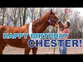 Happy Birthday Chester!! And Riding In The New Saddle!