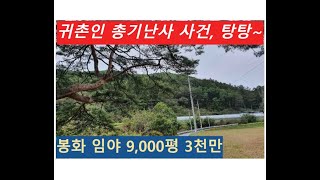 봉화 임야 9,000평 3천만 (총기사건 일어났던 인근지역)