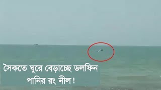 কক্সবাজার সমূদ্র সৈকতে নজিরবিহীন ঘটনা! ।ফাঁকা পেয়ে ঘুরছে ডলফিনের দল! | Somoy TV