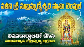 Palani Sri Murugan Temple 🕉️/ పళని   శ్రీ సుబ్రహ్మణ్యేశ్వర స్వామి వారి టెంపుల్ 🕉️🕉️🙏🙏